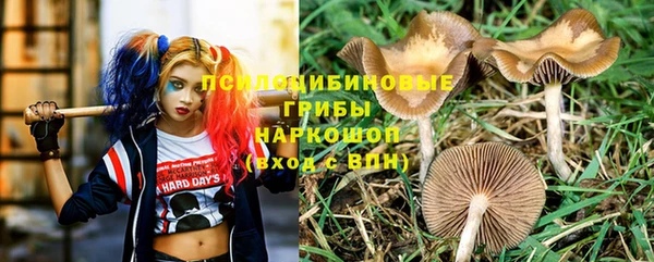 твердый Богданович