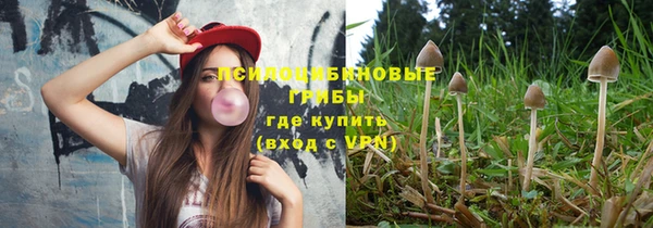 твердый Богданович