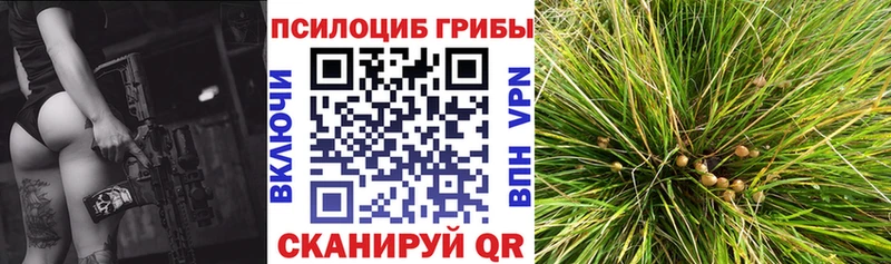 Галлюциногенные грибы мухоморы Можайск