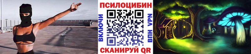 KRAKEN как войти  Можайск  Псилоцибиновые грибы GOLDEN TEACHER  как найти наркотики 