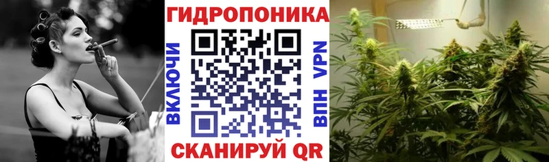 Бошки марихуана SATIVA & INDICA цена Можайск
